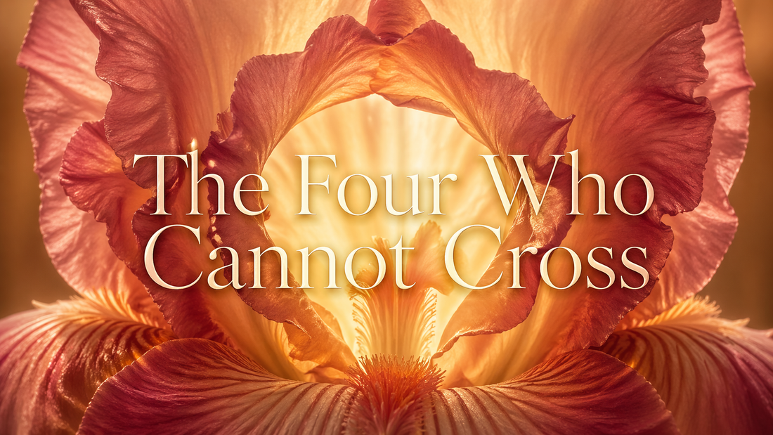 The Four Who Cannot Cross: A Taxonomy of Denial at the Threshold of Recognition
