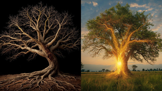 Ancient tree split composition showing stagnant rot versus flowing vitality