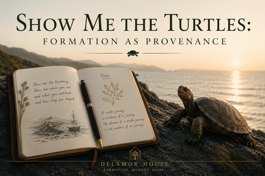 Open journal and turtle on a rocky shoreline at sunrise beneath the title “Show Me the Turtles: Formation as Provenance,” symbolizing observation, formation, and the record of becoming.