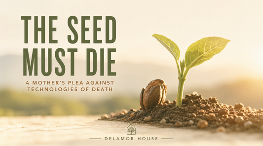 A seed on the ground next to a sprout 